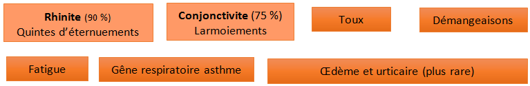 les symptomes les symptomes